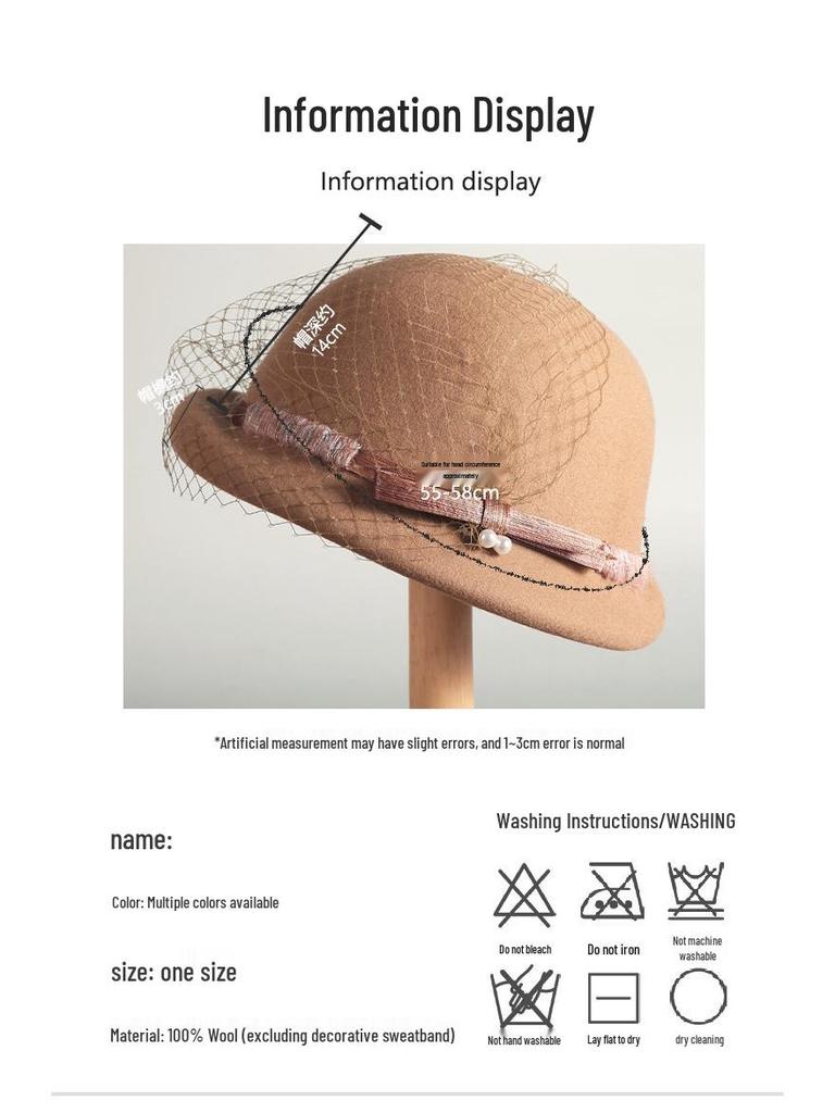Women's Versatile Retro Elegant Dome Wool Felt Beret with Mesh Decoration - 2024 Autumn/Winter Collection