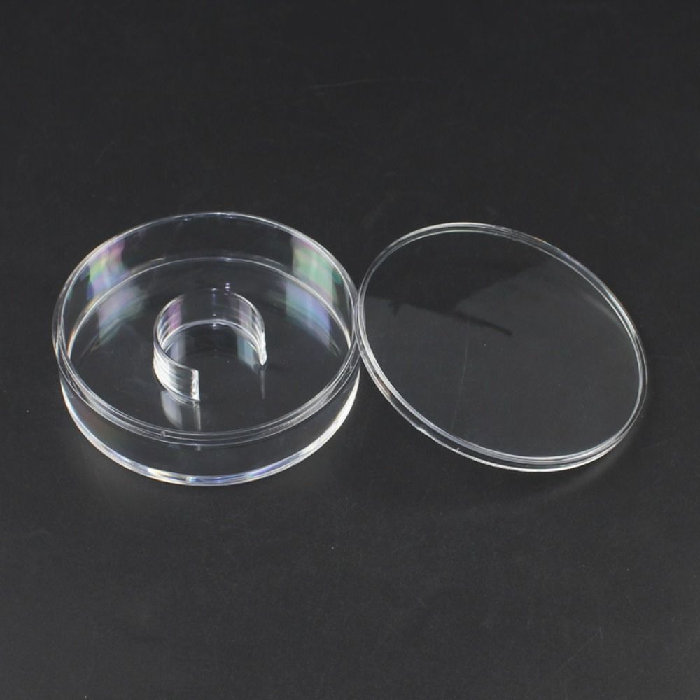 

Bracelet Showcase Bracelet Display Box Jewelry Holder Bracelet Collar Stand Bracelet