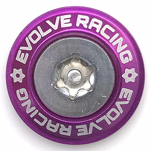 

EVOLVERACING Anti-theft bolt set for license plates only, vehicle inspection compliant (purple, bolt length 25mm)