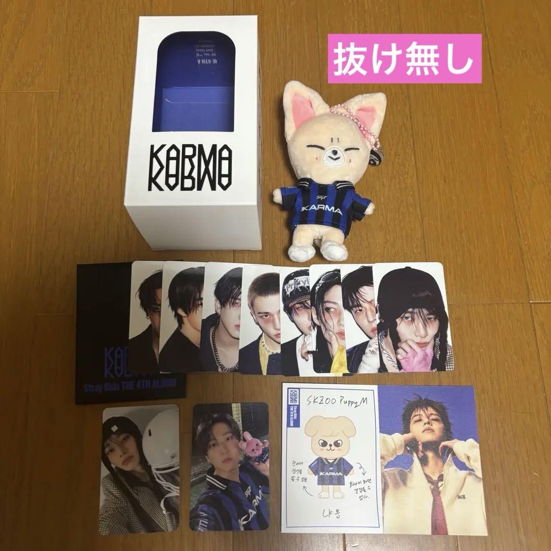 

[USED] Straykids KARMA skzoo ver. AIN
