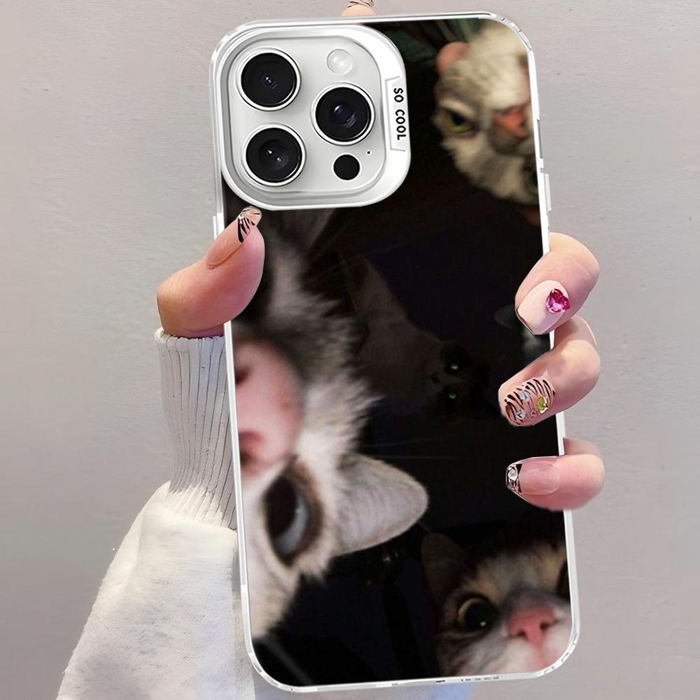 

Pet Cat Funny Memes Phone Case For IPhone 16 15 14 13 12 11 Pro Max X XR XSMAX 8 7 Plus Matte Shockproof Back Cover iPhone 12 pro
