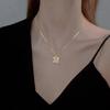 Exquisite Love Stainless Steel Beautiful Flower Necklace Fashion Classic Geometric Niche Light Luxury Clavicle Chain Girls Gift