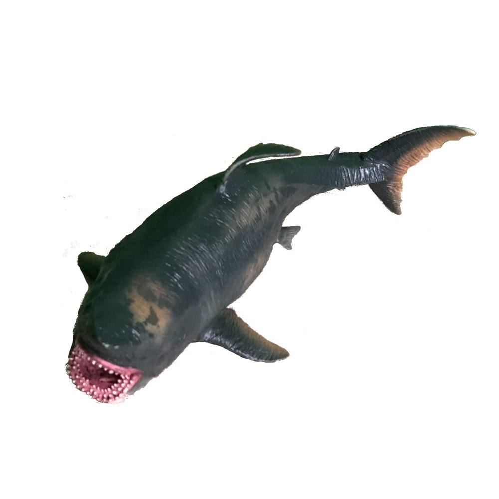 Crop Megalodon Ancient Fish Figure 25cm Dinosaur Model