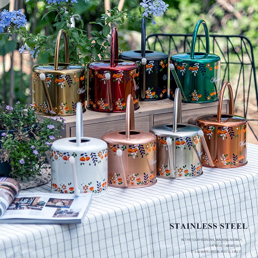 Watering Can 1.3L Stainless Steel Long Spout Watering Can for Indoor Outdoor House Plants Garden