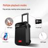 aigo S55 8-inch Portable Outdoor Karaoke Bluetooth Speaker with Dual Microphones CN plug (adapter included) (CN version)