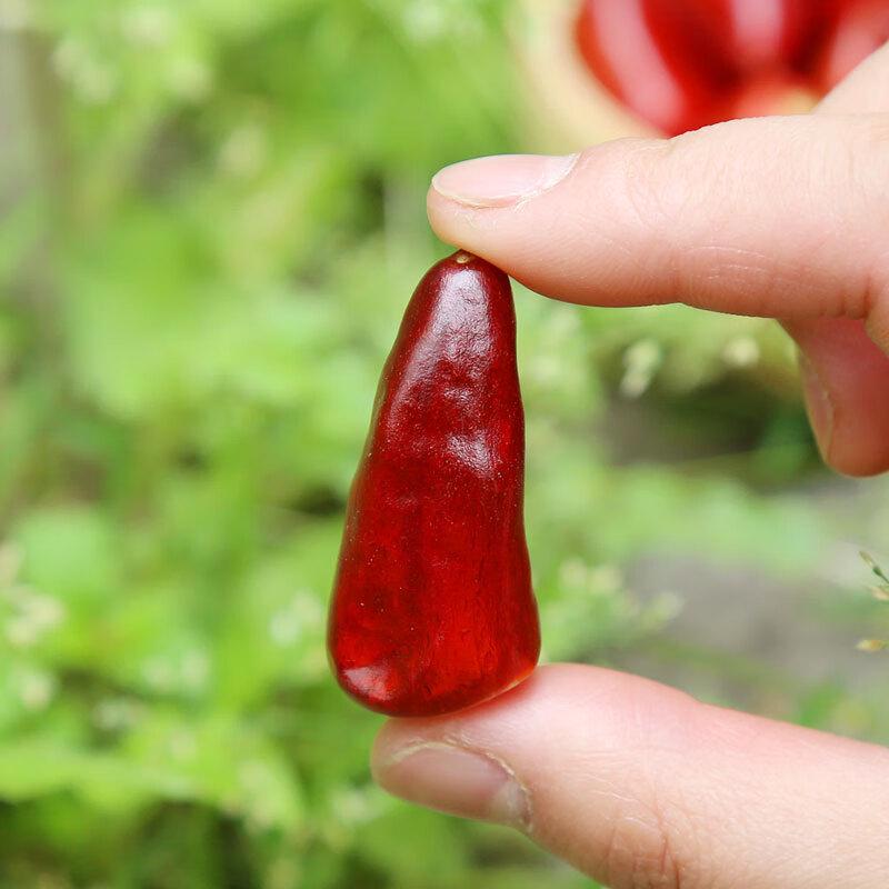 Aishuwee Getrocknete Chilischoten & Chilipulver