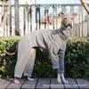 Dünner Frühlings-Bodysuit für Italienische Windhunde - Weiche, dehnbare Haustierkleidung für Whippets & Kleine Windhundrassen