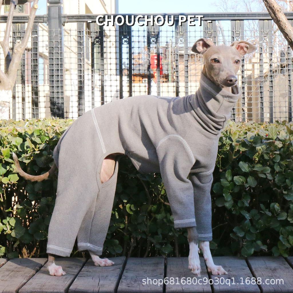 Dünner Frühlings-Bodysuit für Italienische Windhunde - Weiche, dehnbare Haustierkleidung für Whippets & Kleine Windhundrassen
