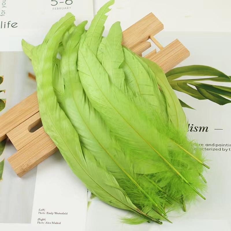 50Pcsdiy Handmade Feathers Long Feathers Off White Purple Tail Jewelry Accessories Mask Handicrafts Clothing Accessories