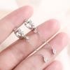 925 Silver Rhinestone Waterdrop Tassel Earrings Fashionable Temperament Versatile Hoop Earrings For Women