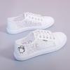 Sandals Women's Net Shoes Student Shoes New Summer Mesh Flat Bottom Lace Bag Head Canvas Shoes Women's Single Shoes