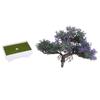 Home Decor Ornamental Plants Artificial Pine Plant Artificial Bonsai Plant Decoration Habitat D Cor Compact Size