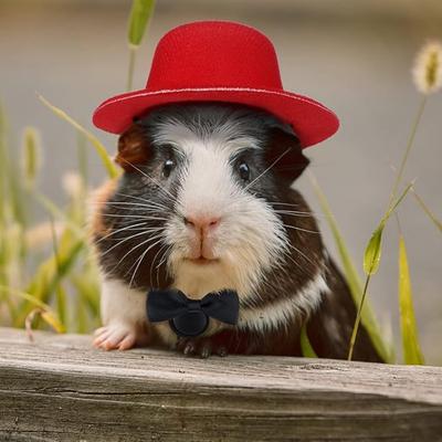 4 Sets Guinea Pig Clothes Small Animal Bow Ties Pet Hats Outfit Suit Cosplay Cool Kawaii Pet Black Hat for Hamster Ferret Cat Rats Puppy Kitten