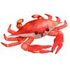 Crab Plush Toy With Short Plush Material For Children And Photo Props