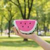 Funny Watermelon Coin Purse Cute Soft Fruit Shaped Zipper Wallet Small Portable Earphone Storage Pouch for Girls Outdoor Use