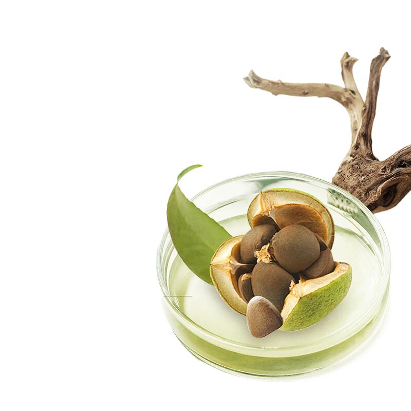 Sen Zhilu Niacinamide Refreshing & Purifying Shower Gel 520ml