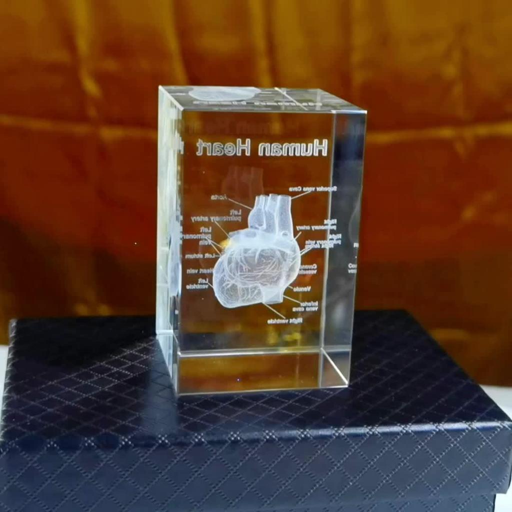 Modello Anatomico Cuore Umano in Cristallo 3D Inciso al Laser Strumento Didattico Medico Regalo Scientifico per Medici Modello Cuore di Cristallo