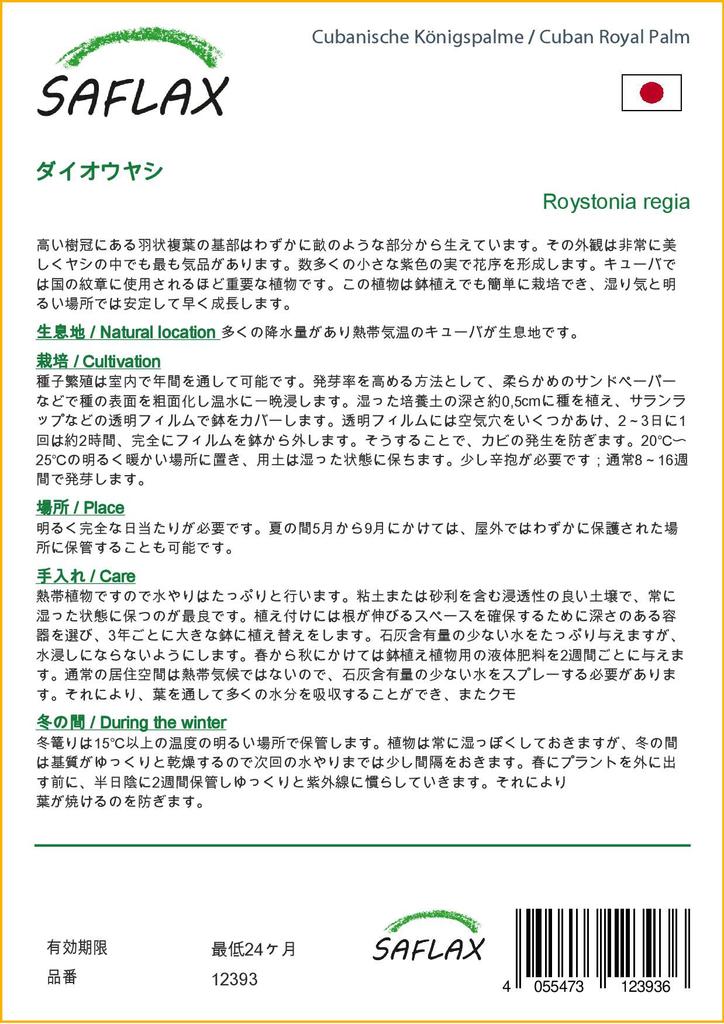 SAFLAX Cuban Royal Palm - 8 Seeds - With Potting Substrate for Better Cultivation - Roystonia Regia