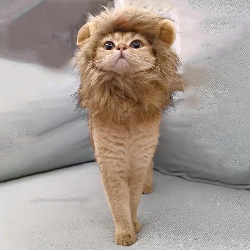 Cat Cosplay Dress Up Pet Hat Cute Lion Mane for Cat Puppy Lion Wig Costume Party Decoration Halloween Christmas Gatos Costume Cosplay Toy Pet Supplies