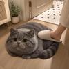 45×60CM Bathroom Carpet Realistic Bedroom Door Rug Cute 3D Cat Floor Mat  Home Decor
