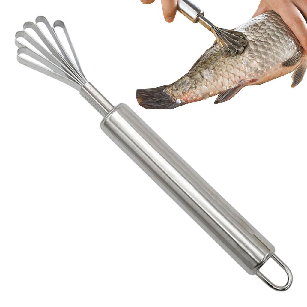 Kreative Kokosraspel Edelstahl Kokoshobel Haushalt Kokosraspel Fischschuppenhobel Küchenhelfer