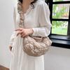 Large capacity dumpling bag spring and summer niche versatile cloud pleated bag women's bag high-end shoulder bag messenger bag