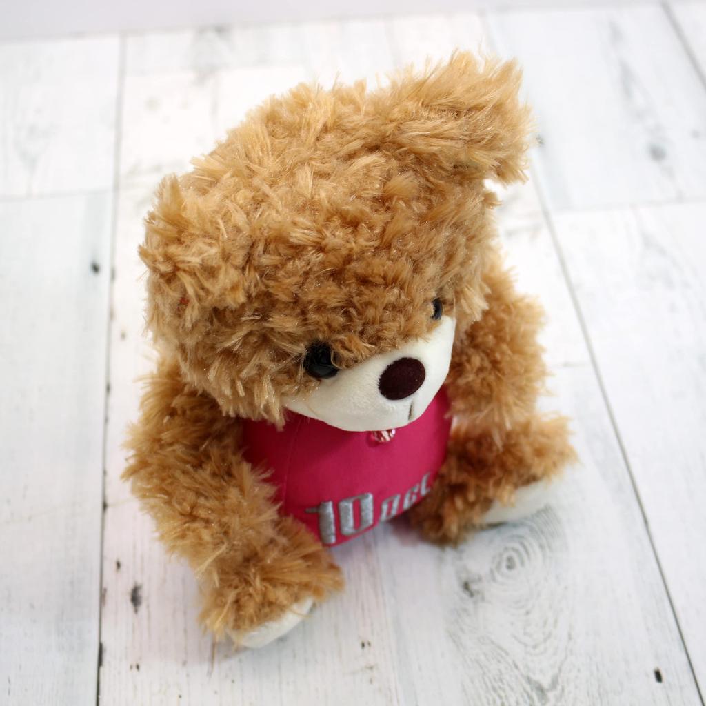 Takeoff Plush Toy October Brown BEAR'S365
