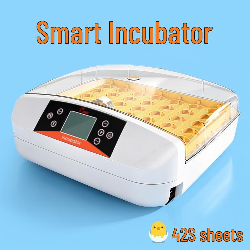 Smart Mini Egg Incubator for Parrots and Budgies: Automatic Pet Hatchery Equipment