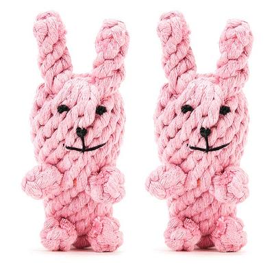 Dingdongpet Dog Rabbit String Toy, 2 Pieces