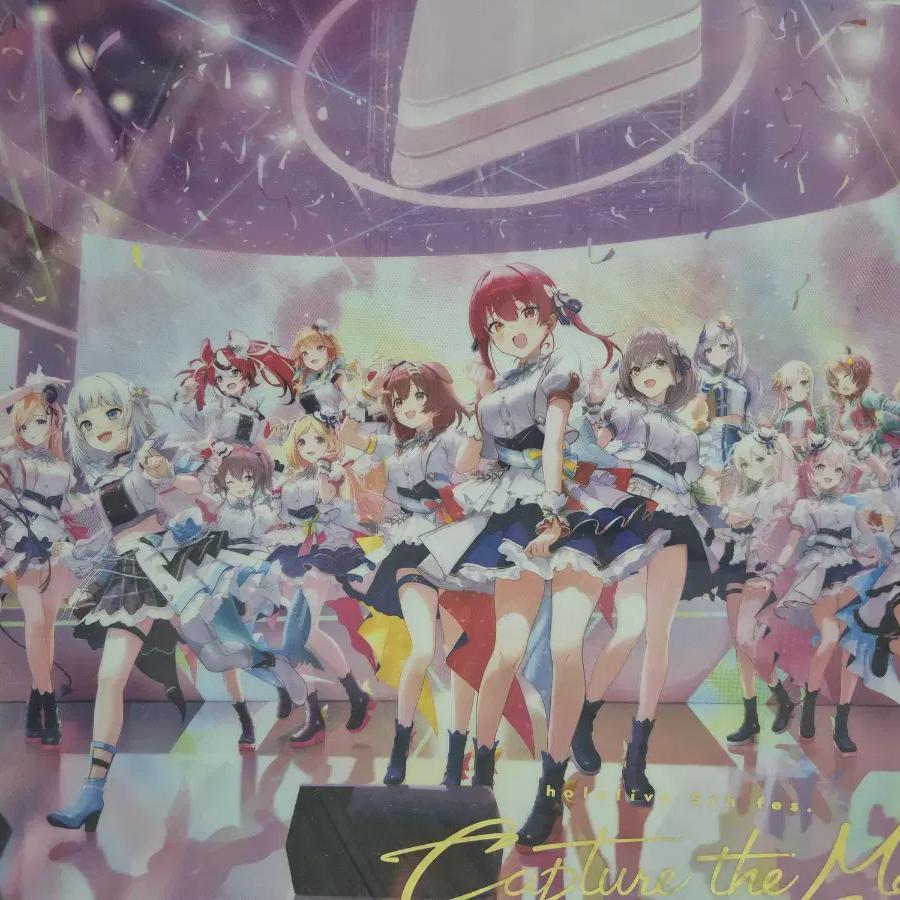 

Акриловая панель 5-го фестиваля Hololive