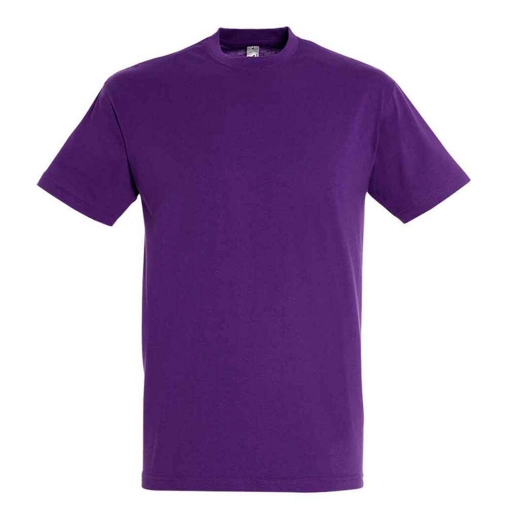 Unisexové dospělé tričko Regent