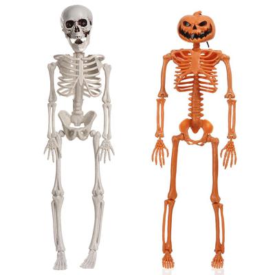 House Decoration Photography Props Bone Model Halloween Human Skeleton Body Figurine Pumpkin Skull