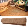 Reptile Coconut Fibre Carpet Bottom Mat Lizards Terrarium Cage Landscaping Floor Pad