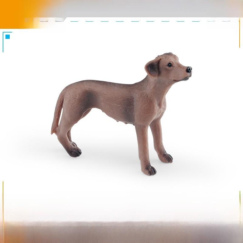 Pvc Toy Small Breed Dog Animal Model For Kids Play And Educational Use