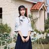 Women's Tang Suit Set: Chinese Style Retro Hanfu with Embroidered Top and Modern Qipao