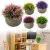 12*9.5CM Plastic Fake Grass Compact Size Artificial Plants For Shelf Compact Size Low Maintenance Office Decoration