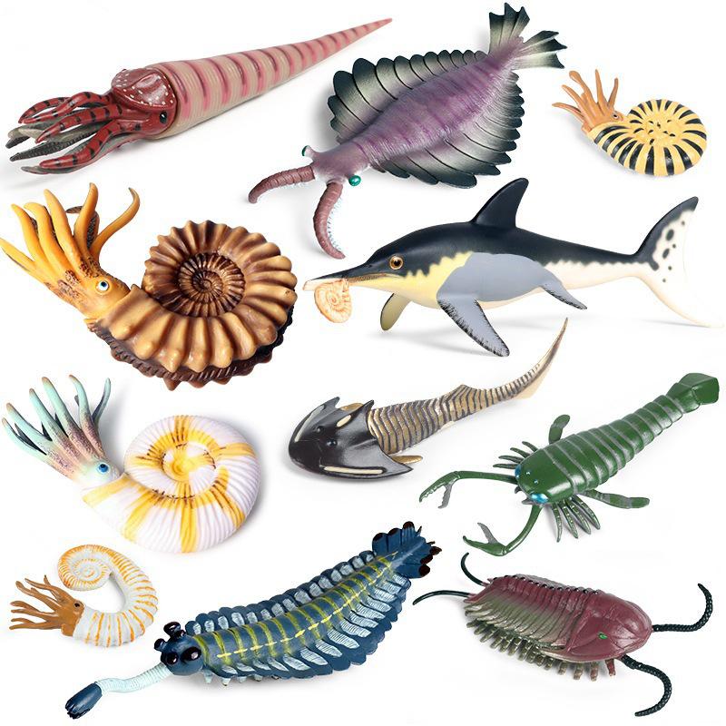 Ancient Marine Life Model: Trilobite, Eurypterid, Pikaia, Sea Scorpion, Nautilus Toy