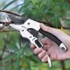 Professionelle Gartenschere Astschere, Obstbaumblütenzweig-Schnittschere