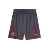 Manchester City Football Training Shorts Men Bottoms Charcoal-Grey 772867-16