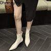Autumn Fashion Pointed Toe Ankle Boots Women Slip On Low Heels Shoes Street Style Banquet Party Short Botas Mujer