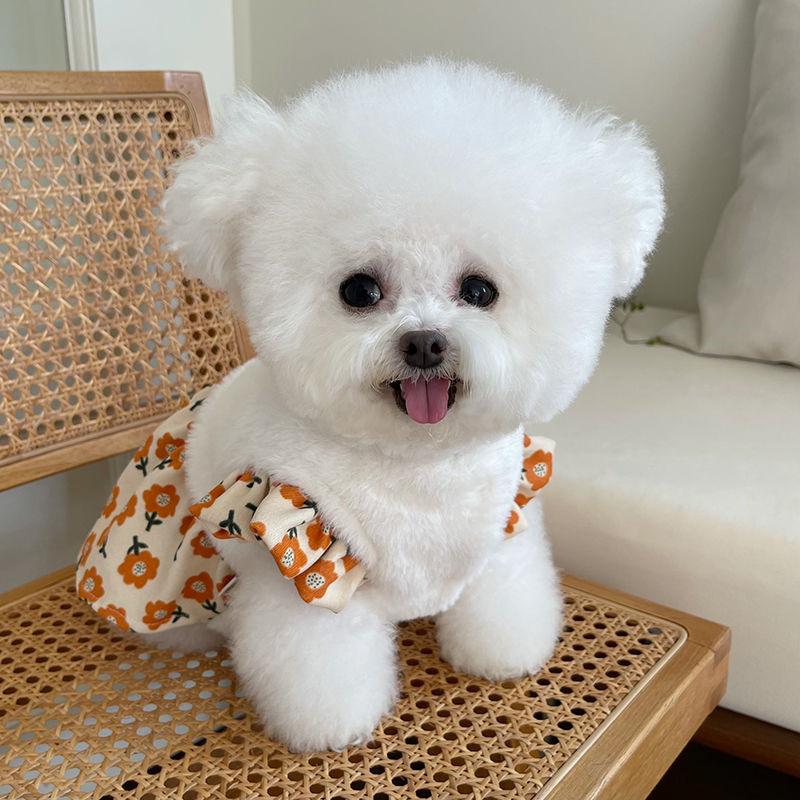 Pet Flower Dress Dog Clothes Autumn Winter Plush Fly Sleeve Cardigan Skirt Teddy Bear Dog Cat Plush Coat Puppy Small Dog Dress