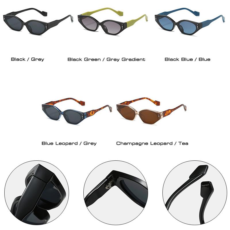 Retro Small Cat Eye Polygon Sunglasses for Women Fashion Ladies Double Color Eyewear Men Designer Sun Glasses Shades UV400