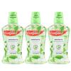Colgate Jasmine Green Tea Mouthwash, 3 X 250ml