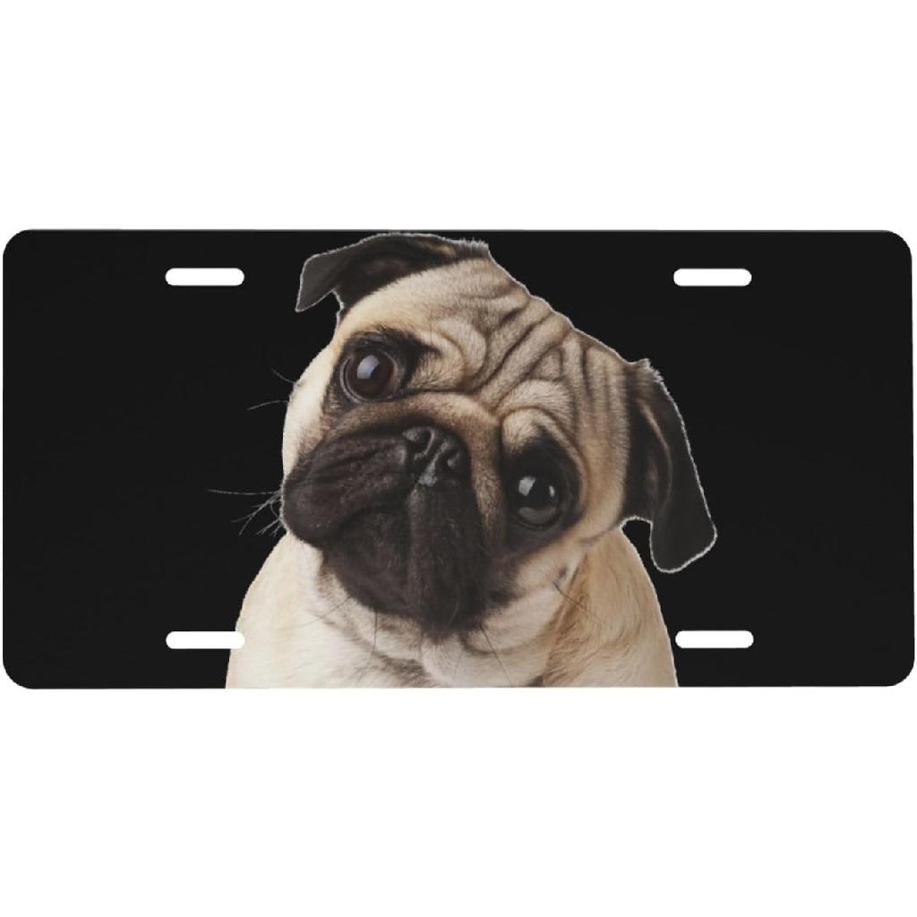 Galaxy Blessed Front License Plate for Women Car Vanity Plates Decorative Aluminum Metal Cute Novelty License Plate Cover for Men 6x12 Inch (4 Holes)