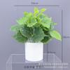 Artificial Pothos Plant Decor Living Room Office Indoor Home Decoration Fake Greenery