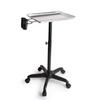 Aluminium Salon Instrument Tray, Height Adjustable Trolley Cart Tray Station on Wheels for Salon Tattoo Spa Beauty Service Holder Tool Storage