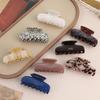 Han Board Acetic Acid Hairpin, Women'S High-End Sense, Spring Temperament, Disc Hair, Catch Clip, Shark Clip Hair Accessories