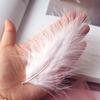 50Pcs With Clip Buckle Full Fleece Turkey Fluff Fluff Diy Decorative Dream Catcher Cat Stick Feather Material
