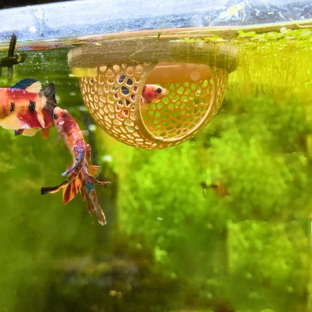 Aquarium schwebende Höhle Fisch Garnelen Versteck Unterschlupf 3-in-1 Hängematte Futterring & Ruheplatz für Betta kleine Wassertiere
