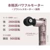 Doshisha Point Beat Handy Roller Plus, Rechargeable, Lightweight, with 5 Attachments, Champagne Gold, Momirax